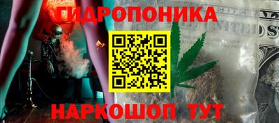 шишки Новокубанск
