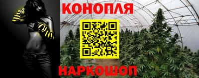 ECSTASY Новодвинск