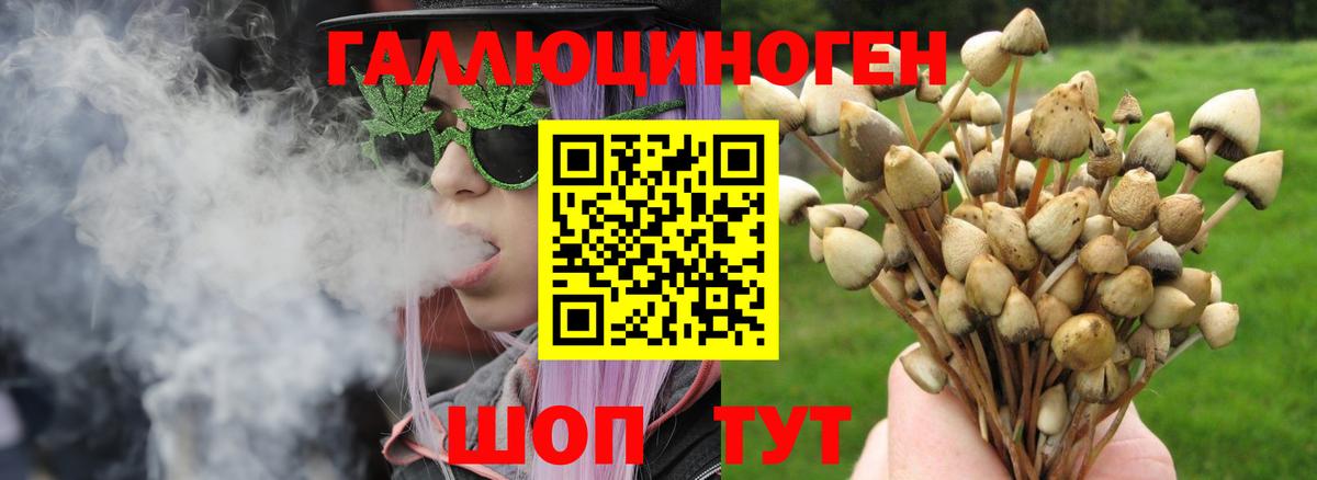 Галлюциногенные грибы Magic Shrooms Чусовой